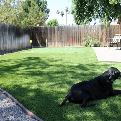 Fake Turf Bay City, Michigan Gardeners, Grass for Dogs