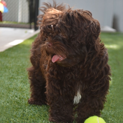 Fake Turf Breckenridge, Michigan Fake Grass For Dogs, Grass for Dogs