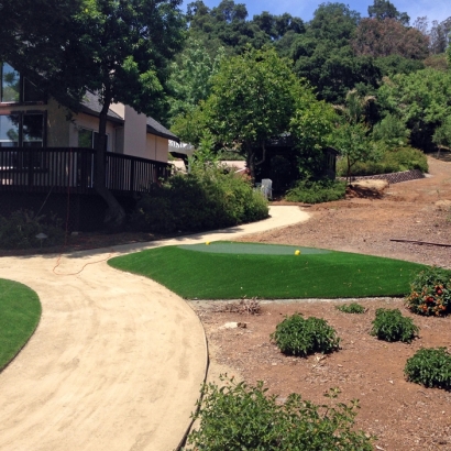 Fake Turf North Branch, Michigan Putting Green Flags, Front Yard Landscape Ideas