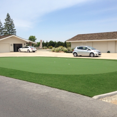 Faux Grass Clio, Michigan Indoor Putting Green, Landscaping Ideas For Front Yard