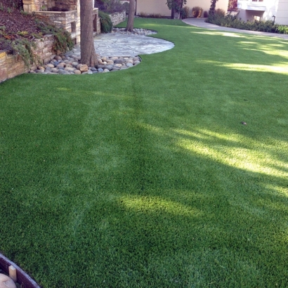 Faux Grass Madison Heights, Michigan Hotel For Dogs, Backyard Makeover