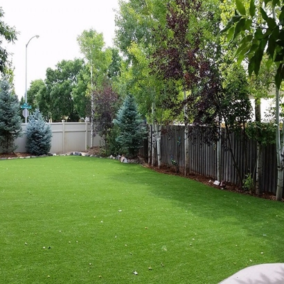 Faux Grass Montrose, Michigan Dog Hospital, Backyard Designs