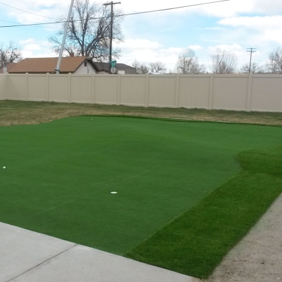 Faux Grass Pigeon, Michigan Artificial Putting Greens, Beautiful Backyards