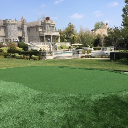 Faux Grass Southfield, Michigan Putting Green Turf, Landscaping Ideas For Front Yard