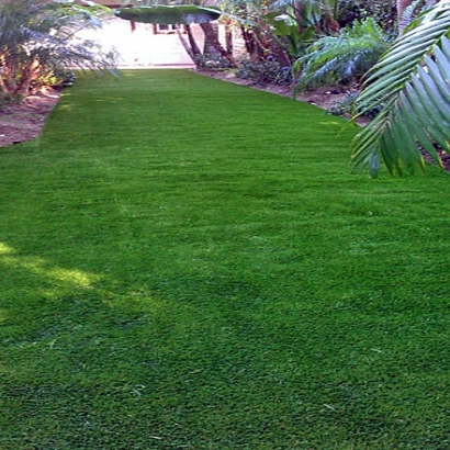 Grass Carpet Columbiaville, Michigan City Landscape, Backyard Landscape Ideas