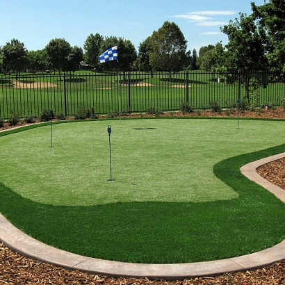 Grass Carpet McBride, Michigan Putting Green Turf, Backyard Makeover