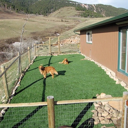 Grass Installation Estral Beach, Michigan Landscaping Business, Dogs