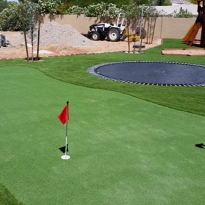 Grass Turf Augusta, Michigan Office Putting Green, Beautiful Backyards