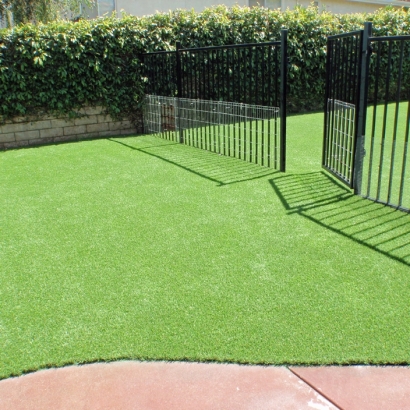 Grass Turf Henderson, Michigan Artificial Turf For Dogs, Front Yard