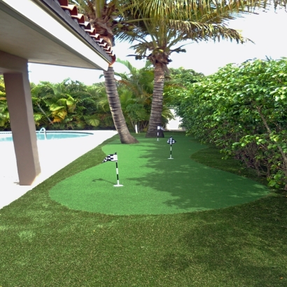 Grass Turf Saint Charles, Michigan Outdoor Putting Green, Swimming Pools