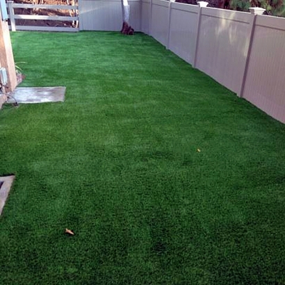 Grass Turf Yale, Michigan Paver Patio, Backyards