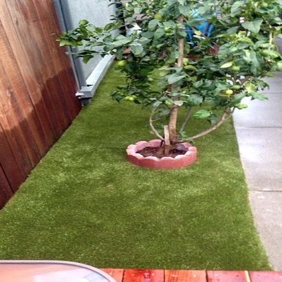 Outdoor Carpet Deckerville, Michigan Artificial Grass For Dogs, Backyards