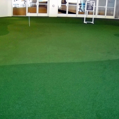 Outdoor Carpet Taylor, Michigan Home Putting Green, Commercial Landscape