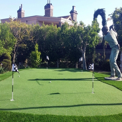 Synthetic Grass Cost Lake Isabella, Michigan Indoor Putting Green, Backyard Designs