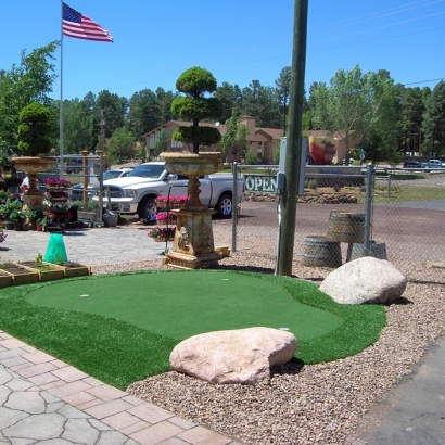 Synthetic Grass Cost Ovid, Michigan Gardeners, Commercial Landscape