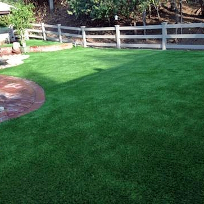 Synthetic Grass Dexter, Michigan Pet Grass, Backyard