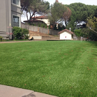 Synthetic Lawn Stanwood, Michigan Artificial Putting Greens, Beautiful Backyards