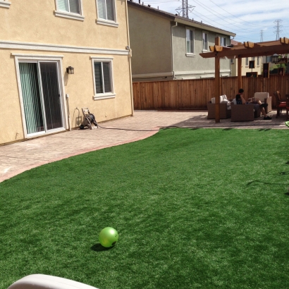 Synthetic Turf Hastings, Michigan Indoor Playground, Small Backyard Ideas
