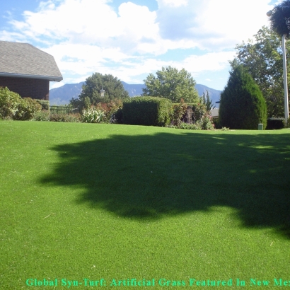 Synthetic Turf Melvindale, Michigan Landscape Ideas, Backyard Landscaping Ideas