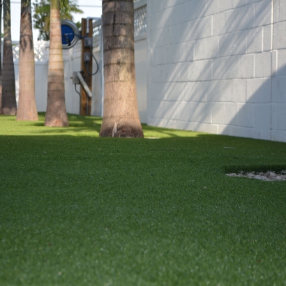 Synthetic Turf Muir, Michigan Garden Ideas, Commercial Landscape