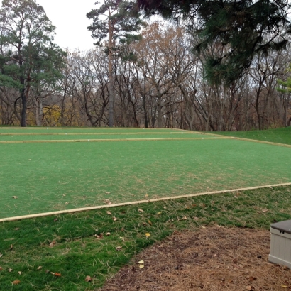 Synthetic Turf Romulus, Michigan Lawn And Garden