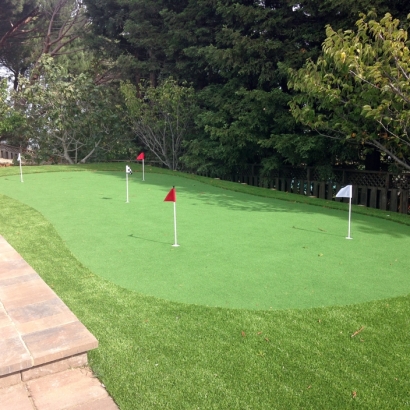 Synthetic Turf Supplier Casnovia, Michigan Putting Green Turf, Backyard