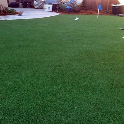 Synthetic Turf Supplier Flat Rock, Michigan Backyard Putting Green, Backyard Ideas