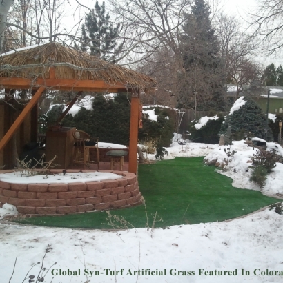 Synthetic Turf Supplier Pleasant Ridge, Michigan Lawn And Garden, Backyard Makeover