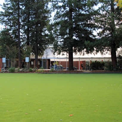 Synthetic Turf Supplier Saint Clair, Michigan Playground Safety, Recreational Areas
