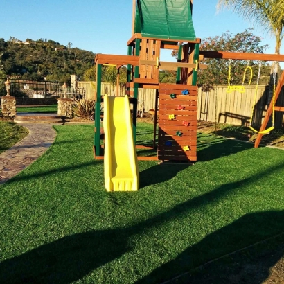 Synthetic Turf Taylor, Michigan Playground, Backyard Designs