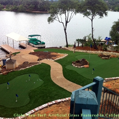 Turf Grass Ecorse, Michigan Putting Green Carpet, Backyard Garden Ideas