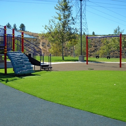 Turf Grass Milford, Michigan Indoor Playground, Recreational Areas