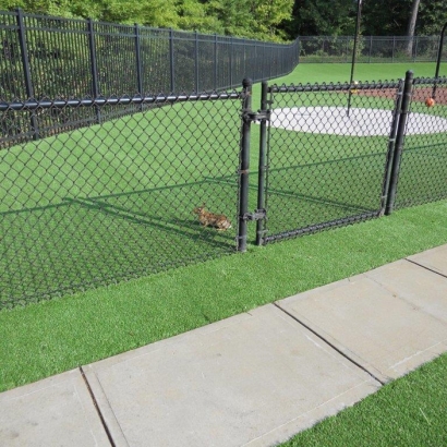 Turf Grass Morenci, Michigan Backyard Playground, Parks