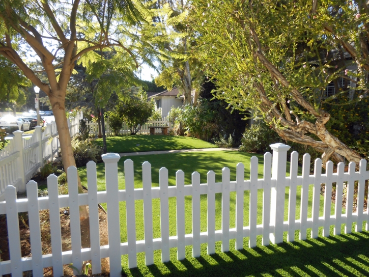 Artificial Grass Carpet Dowling, Michigan Landscape Ideas, Small Front Yard Landscaping