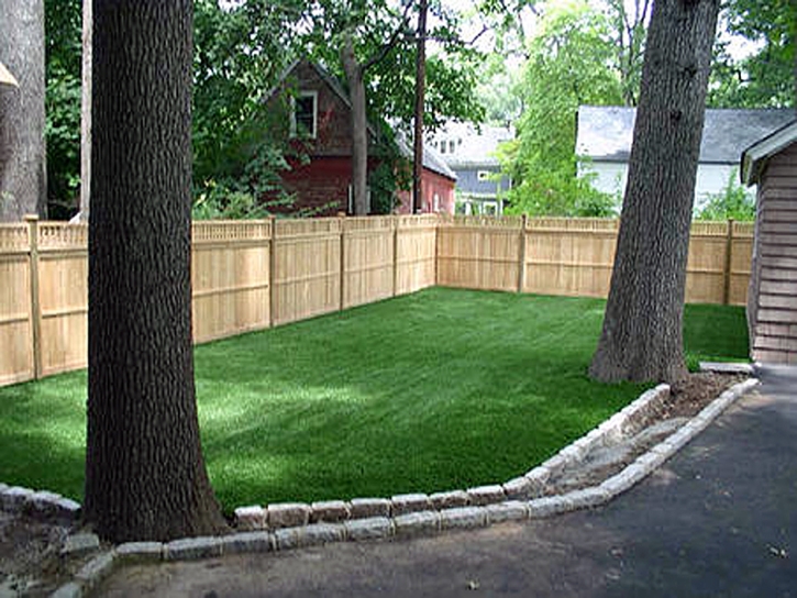 Artificial Grass Carpet Freeport, Michigan Dog Pound, Beautiful Backyards
