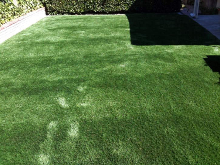 Artificial Grass Carpet Lincoln Park, Michigan Dog Pound, Backyard