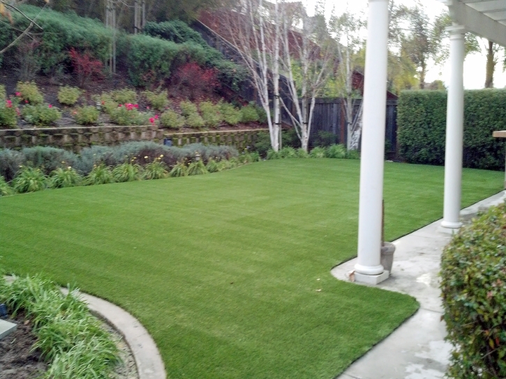 Artificial Grass Carpet Quincy, Michigan Cat Playground, Backyard Ideas