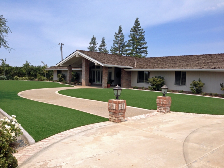 Artificial Grass Carpet Reading, Michigan Rooftop, Front Yard