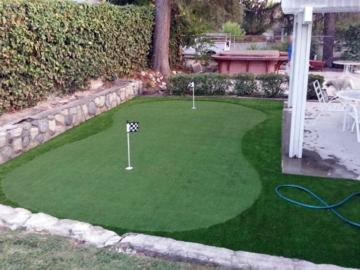 Artificial Grass Hersey, Michigan Putting Green Turf, Backyard Design