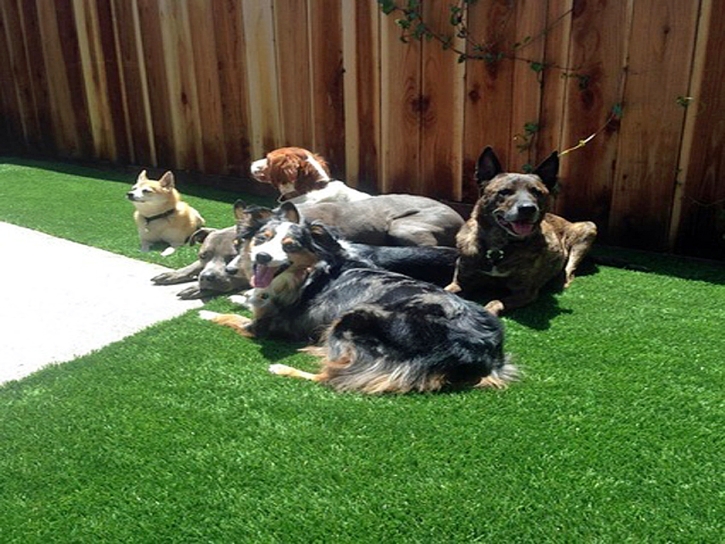 Artificial Grass Installation Maple Rapids, Michigan Fake Grass For Dogs, Small Backyard Ideas