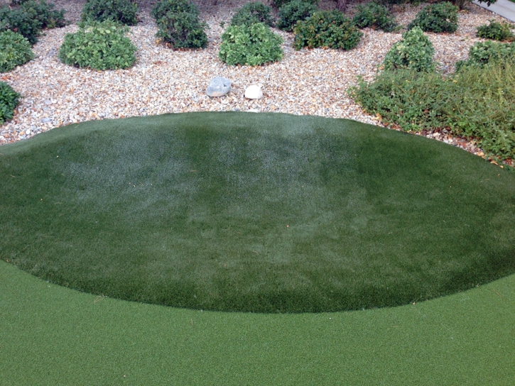 Artificial Grass Installation Muskegon Heights, Michigan Diy Putting Green