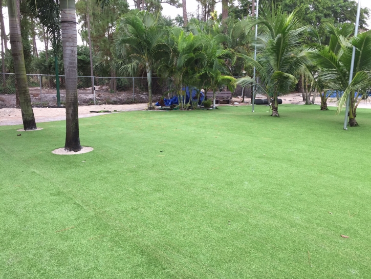 Artificial Grass Installation Springfield, Michigan City Landscape, Commercial Landscape