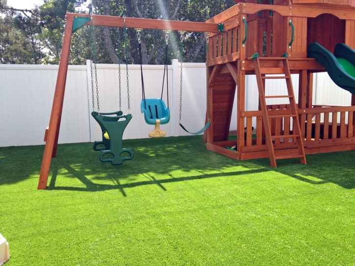 Artificial Grass Ionia, Michigan Landscaping, Backyard Landscape Ideas