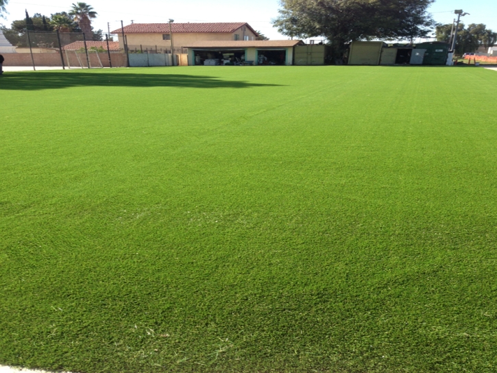 Artificial Grass Stony Point, Michigan Landscape Photos, Parks