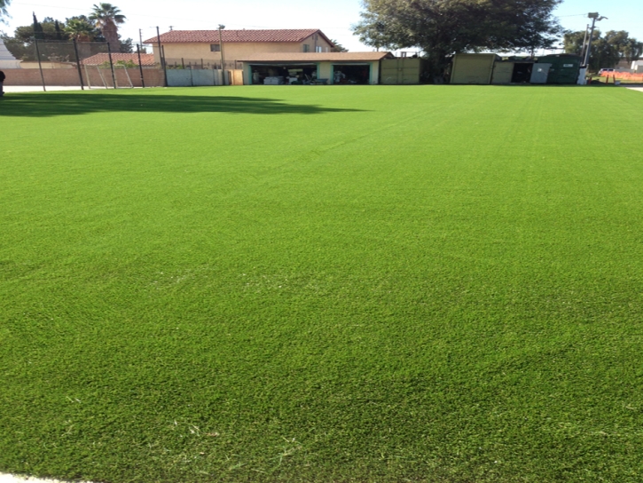 Artificial Grass Stony Point, Michigan Landscape Photos, Parks