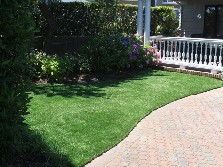 Artificial Grass Tustin, Michigan Drainage, Front Yard Landscaping