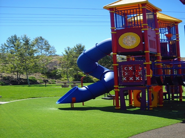 Artificial Lawn Grosse Pointe Farms, Michigan Indoor Playground, Parks