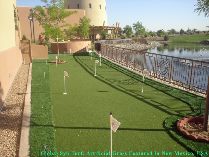 Artificial Lawn River Rouge, Michigan Landscaping, Backyard Landscaping Ideas