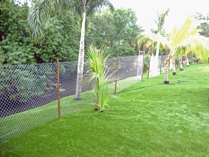 Artificial Lawn Robin Glen-Indiantown, Michigan Landscape Ideas, Backyards