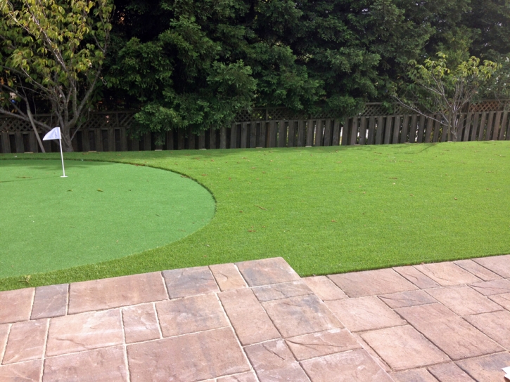 Artificial Lawn Rockwood, Michigan Outdoor Putting Green, Small Backyard Ideas